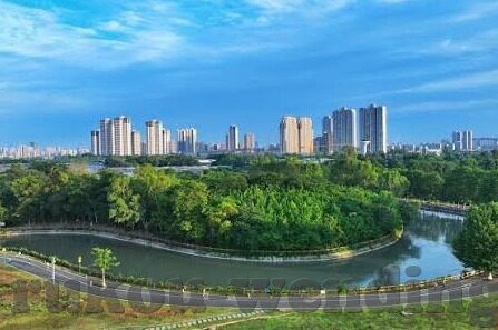 哥斯达黎加大学足球比分-哥斯达黎加大学足球，比分背后的激情与荣耀